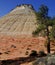 Checkerboard Mesa, Zion