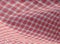 Checkered picnic cloth. Red.