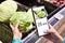 Checking calories on cabbage vegetable with smartphone