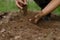 Checking soil for grow vegetable