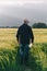 Checking the yield of grain crops at sunset. Man conducts experiments in field conditions