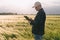 Checking the yield of grain crops at sunset. Man conducts experiments in field conditions