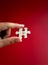 Checkmark symbol on a piece of puzzle jigsaw element in man\'s hand isolated on red background, vertical, minimal style.