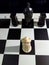 Checkmate Epaulette Chess.