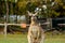 Cheeky Kangaroo