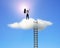 Cheered businessman on top of cloud face sun with ladder