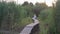 Cheerful active little girl in white dress runs along wooden bridge outdoors among green high reeds