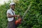 Cheerful african guy in uniform pruning green bushes