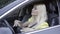 Cheerful beautiful blondie sitting on driver`s seat and dancing. Side view portrait of relaxed gorgeous Caucasian lady