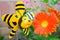 Cheerful bee and a flower.