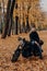 Cheerful biker poses to have break after driving, poses near black motorbike, holds protective helmet, yellow trees and leaves