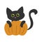 Cheerful black cat hugging a pumpkin. Cute black kitty. Design for Halloween.