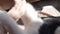 A cheerful black and white cat plays with a woman hand, bites and flips over. The concept of pets. High quality 4k frames