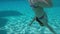 Cheerful blond girl dives and makes somersaults under the water in the pool