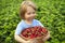 Cheerful boy with basket of berries