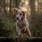 Cheerful canine leaping over a log in the middle of a lush green field