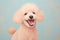 Cheerful Canine: Poodle Smiles in Pastel Setting.