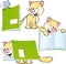 cheerful cat playing and learning with workbook - vector