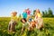 Cheerful children jumping in sacks play together