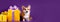 Cheerful corgi dog with gifts on a purple background. Banner. Copyspace