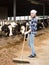 Cheerful cowgirl working with milking herd at cowhouse in farm