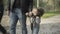 Cheerful cute Caucasian boy riding scooter in sunny park with unrecognizable parents. Portrait of charming little son on