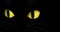 Cheerful cute playful black cat opens its eyes and runs away into the distance. Animation