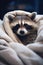 Cheerful cute racoon lying on white blanket. Funny forest animal character with funny face in bed at home