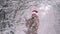 Cheerful cute woman in Santa hat pulls on branch of tree, snow flies on her and she is happy rejoices winter and cold