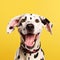 Cheerful Dalmatian Dog With Dynamic Facial Expressions