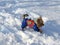 Cheerful decorative dog in clothes running in winter on snow in park