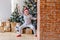 Cheerful eight year old boy in pajamas and Santa hat near a beautiful Christmas tree