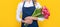 cheerful flower seller woman in apron with spring tulip flowers on yellow background