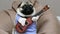 Cheerful funny pug dog singer with a guitar, yawns and sings a song, dog musician guitarist