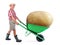 Cheerful gardener carrying a large potato.