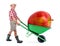 Cheerful gardener carrying a large red apple.