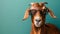 Cheerful goat in trendy sunglasses on serene pastel background with space for text.