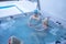 Cheerful happy company of teenagers enjoys hot bath in jacuzzi whirlpool on cold winter day. Carefree relaxation in hot