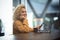 Cheerful happy people woman traveler wait at the airport gate for delay flight using modern technology device as phone and laptop