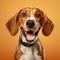 Cheerful Hound Breed Dog Smiling On Brown Background