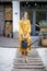 Cheerful housewife in gardener yellow apron takes care of plants