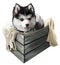 Cheerful husky puppy sitting in a box. Watercolor painting