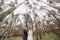 Cheerful just married pair posing in the young pine forest