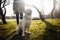 Cheerful labrador retriever dog walks in the park with its owner on a sunny spring day. Young playful dog sits on the green grass