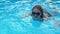 Cheerful lady in fashion sunglasses swimming in clear blue water, summer relax