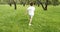 Cheerful little boy running on the grass among the trees in the park. View from the back. Vacation, travel and adventure concept.