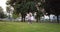 Cheerful little child girl dancing and having fun in the fresh flower garden. Kid play in the park outdoor.