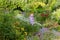 Cheerful little girl among flowers in park