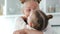 Cheerful little girl hugs her mother on the kitchen