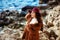 Cheerful lovely young woman in maroon felt hat and drape coat standing and laughing on pier in spring